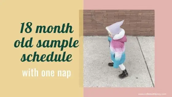 18 month old schedule and daily routine