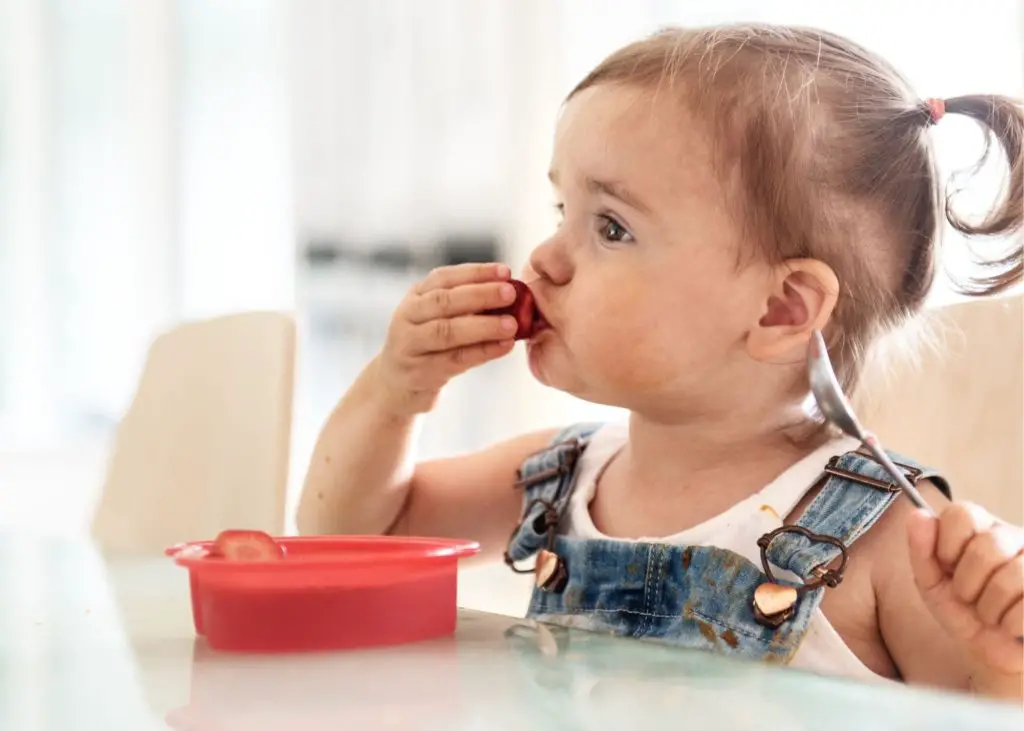 2 Year Old Eating Schedule