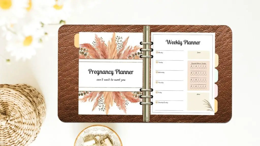 Printable Pregnancy Planner