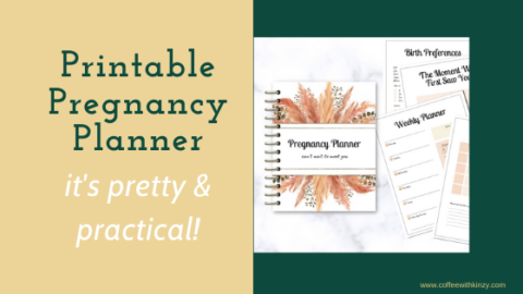 38-Page Printable Pregnancy Planner / Journal: it's Pretty &amp; Practical!