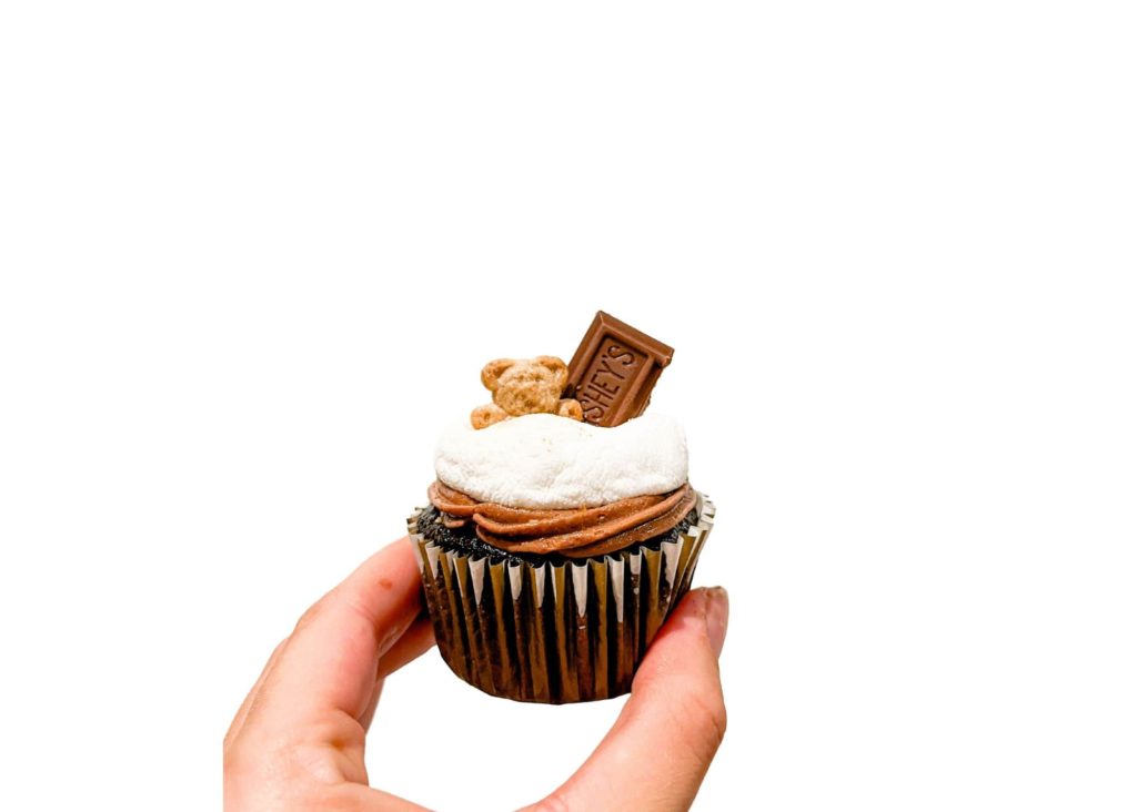 Teddy Bear Picnic Birthday Party Food Ideas: Smore Cupcakes
