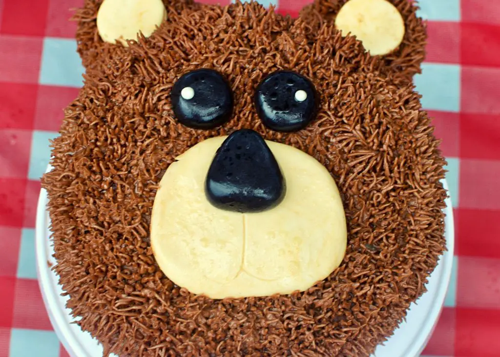 Teddy Bear Picnic Cake Smash: bear cake with big eyes and nose