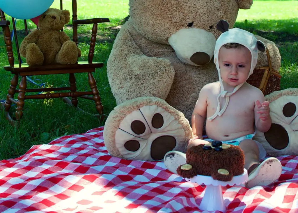 A teddy bear picnic first birthday cake smash